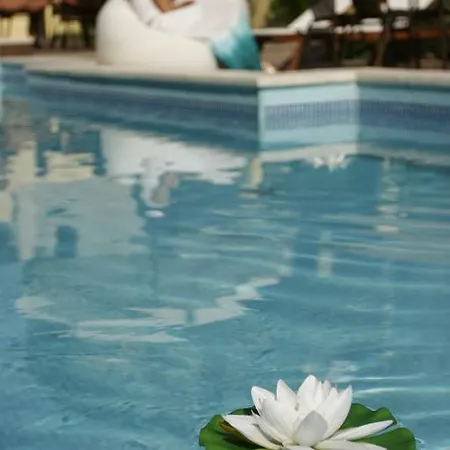 Къща за гости валеев 3*